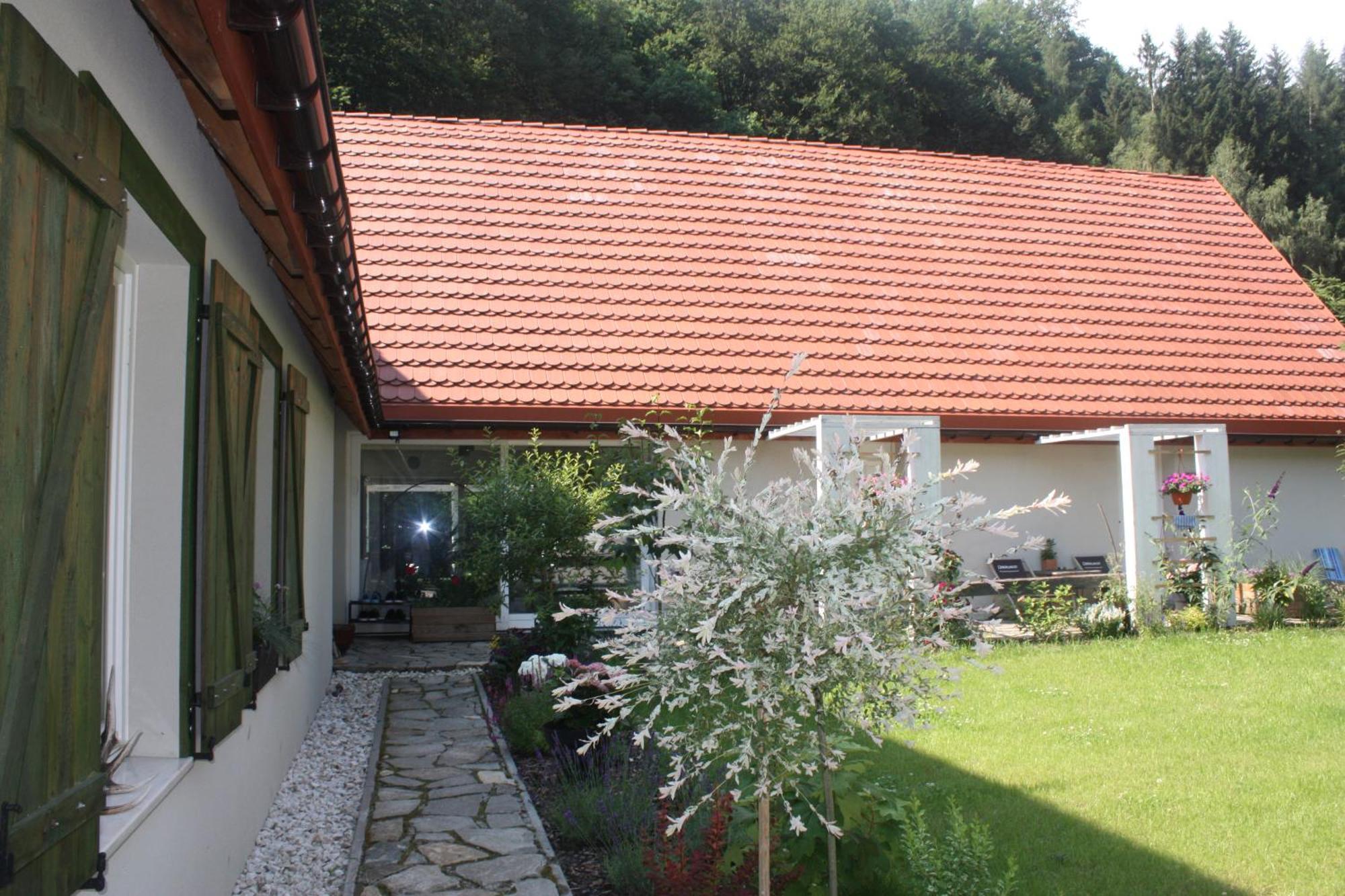 Przystanek Dzika Dolina * Lądek-Zdrój