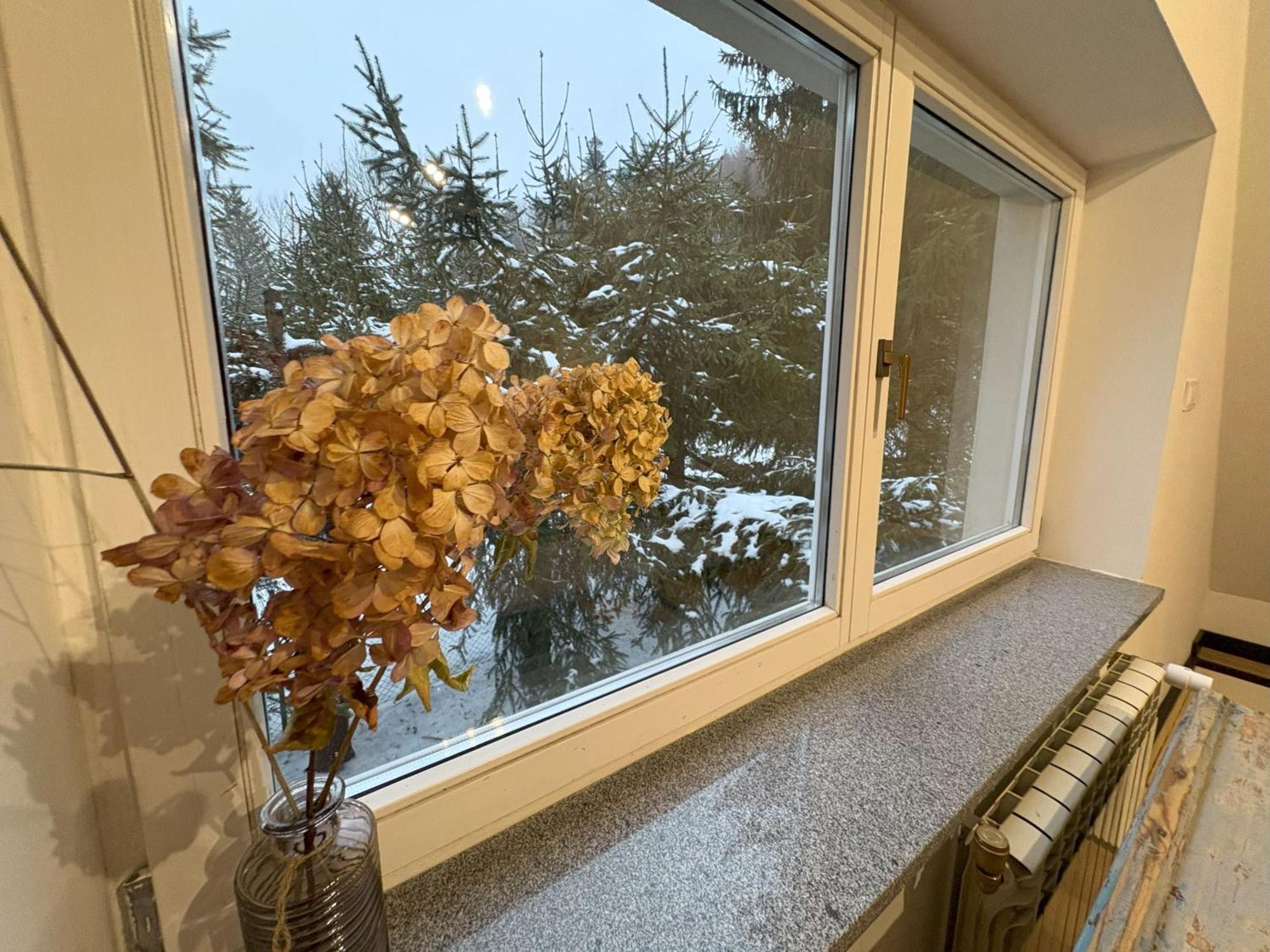 Apartment Przystanek Dzika Dolina